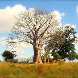 Carney's Journey - Esther's House Orphanage