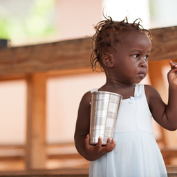 Ferrier Village Phase 2 - Microloans