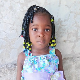 Fednaica Neicy Boilleau: Good Samaritan