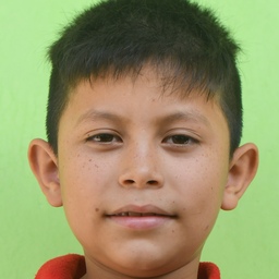 Merlin Magdiel Lara Miranda