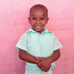 Daniel Henry: Brazil School