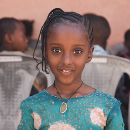 Billise Dalasa ET120