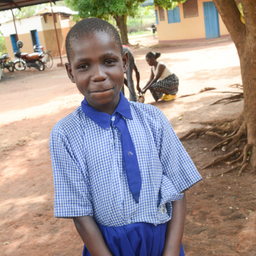 Apio Dorothy Tama 1211