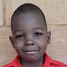 Jedidiah Declan Shane