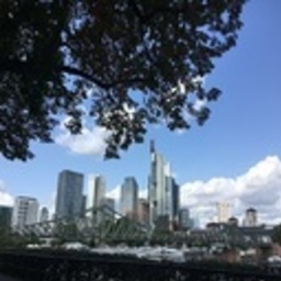 Cynthia Glass's fundraiser for Frankfurt, Germany - DE26A