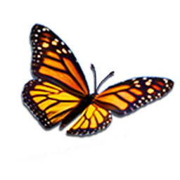 Vine & Branch July 2026