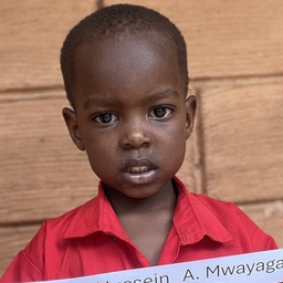 Hussein .  A . Mwayaga