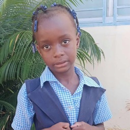 Chrilande Dejan: Armee du Salut