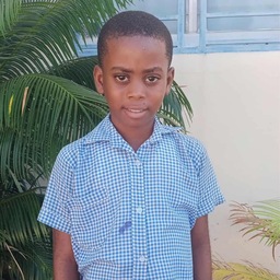 Zachoir Hilaire: Armee du Salut