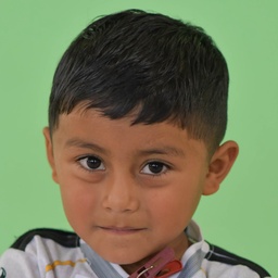 Audias Ezequiel  Villanueva Benites