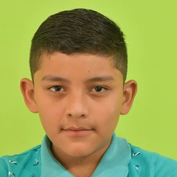 Edwin Daniel Orellana Hernandez