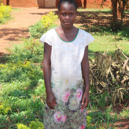  AIDAH