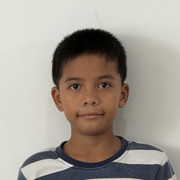 Jonathan P. Ayapana