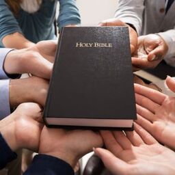 Bible Distribution