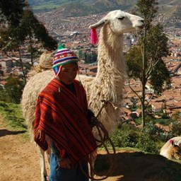 Molly Pursel's fundraiser for Huancayo, Peru