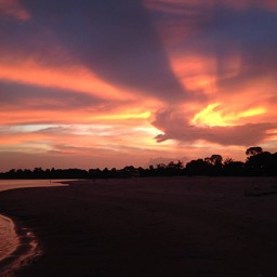 Heather Adams' fundraiser - Amazon River of Brazil