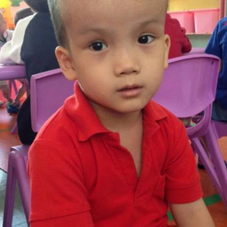 Bring His Dragon Home: R Family Adoption