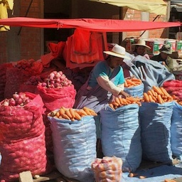 Mary Quinn's fundraiser for La Paz, Bolivia - BO17E