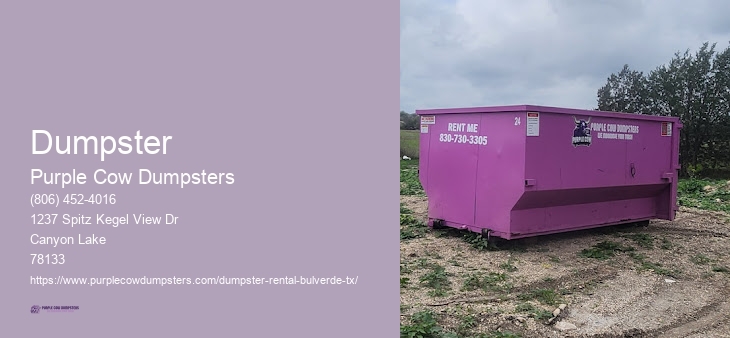 Best Bulverde Small Dumpster Rentals