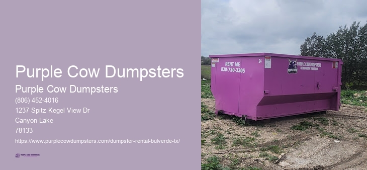 Bulverde TX Residential Dumpster Rental Price