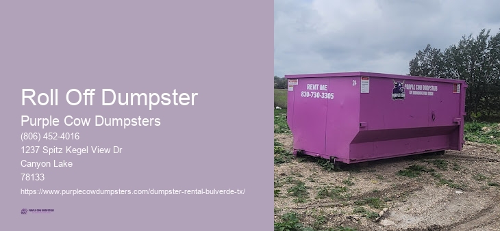 Cheapest Residential Dumpster Rental Near Me