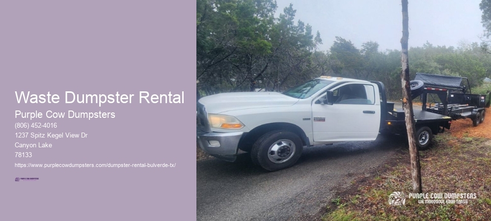 Junk Removal Bulverde Texas