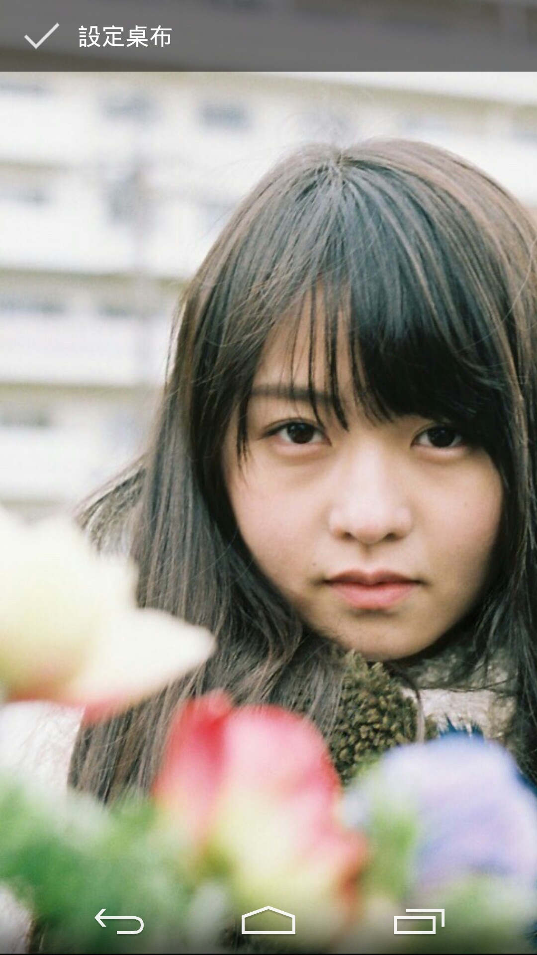 乃木板46討論區第八十六回 花大小姐世界級可愛 香港高登討論區