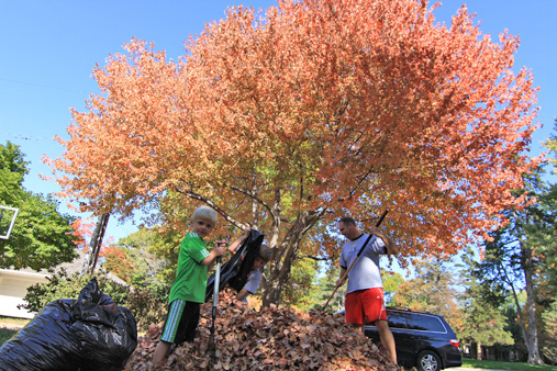 Raking_Leaves