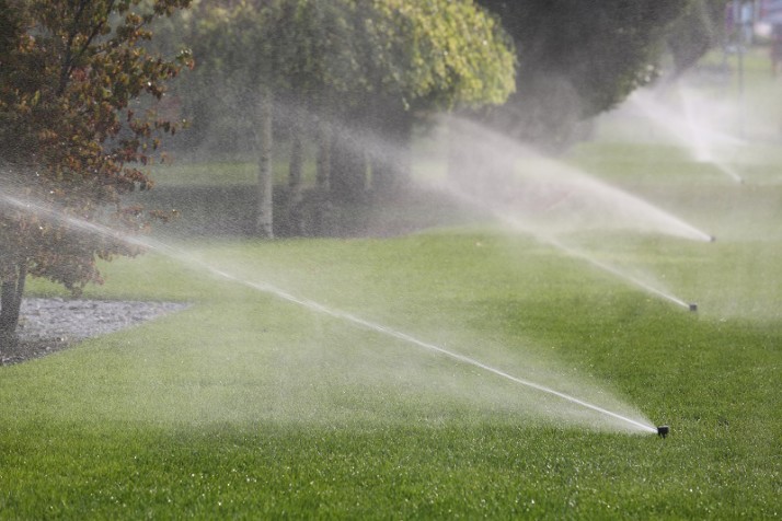 Irrigation System Watering the Trees