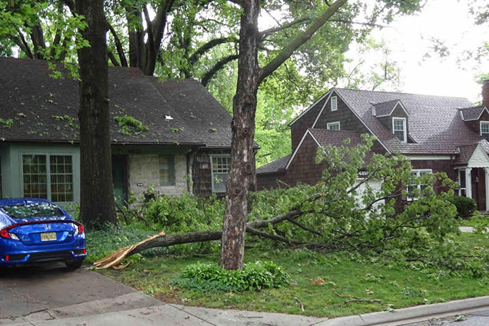 The branch of a large pin oak just missed the Grebes' car in Roeland Park.