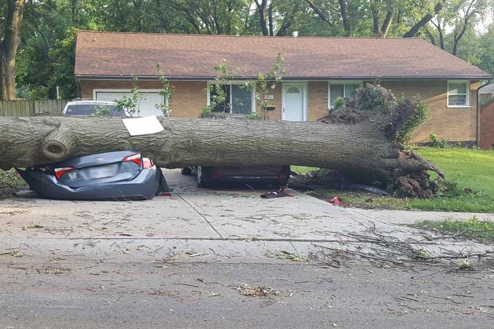Photo courtesy reader Mark Read.