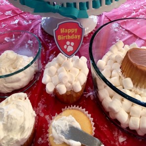 Winter Rescue Snowball Cupcakes