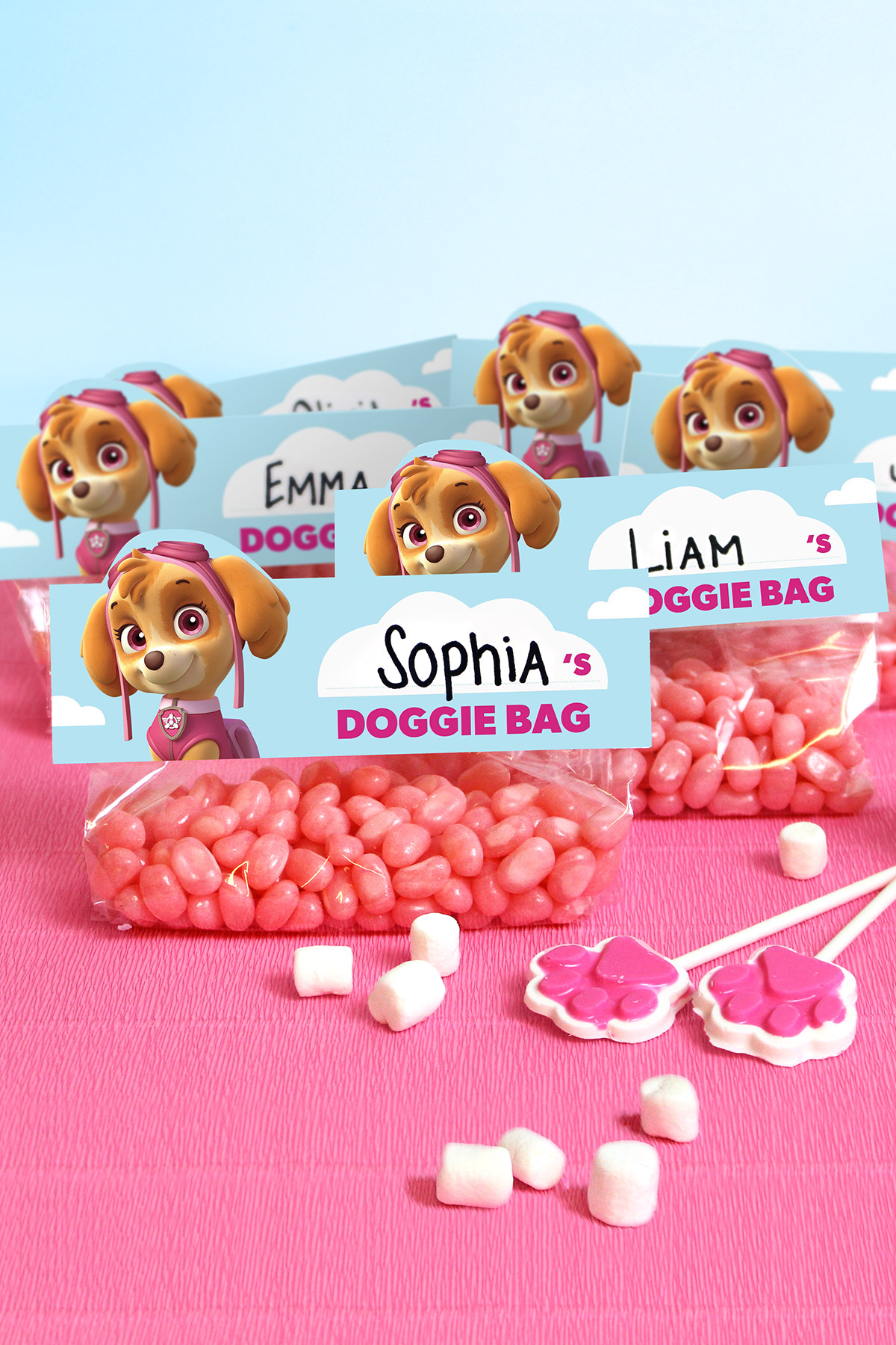 PAW Patrol Skye Birthday Party Goody Bags