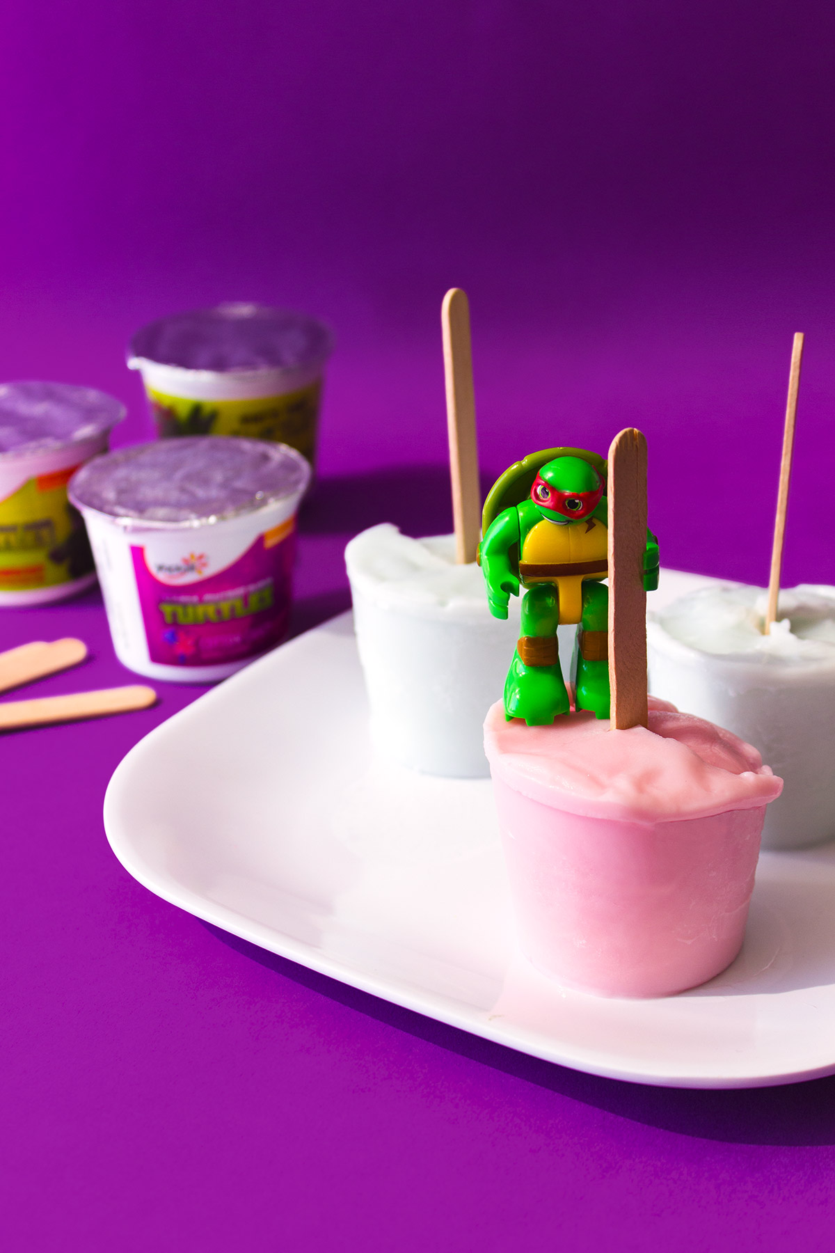 SB & TMNT Yogurt Pops