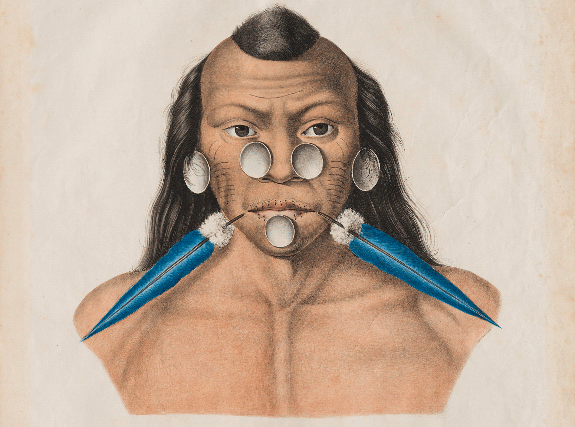 O Brasil dos naturalistas