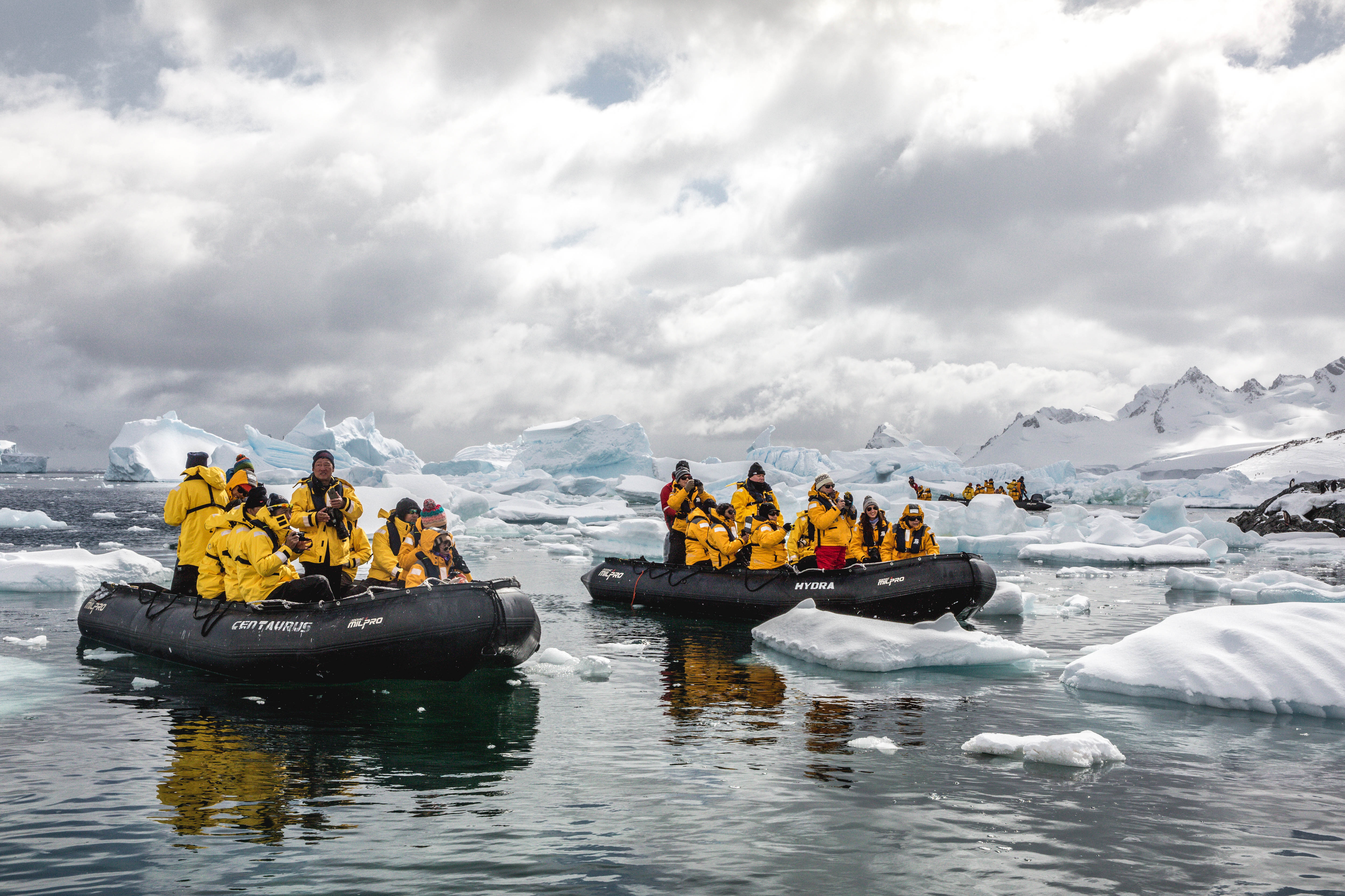 Take an Antarctic Zodiac Cruise in Immersive 360° Video
