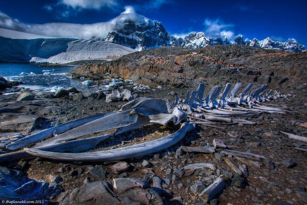 Greenland