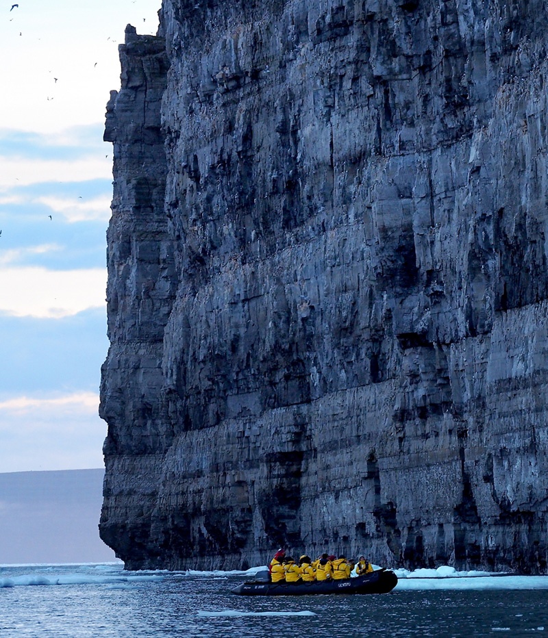 The Top 5 Bird Cliffs in the Arctic