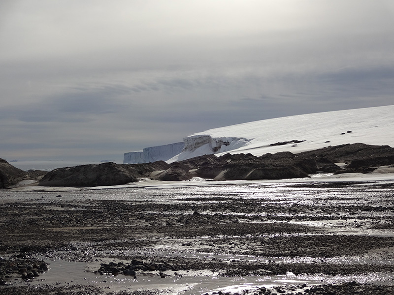 Explore the Natural Mystery of Champ Island in Franz Josef Land