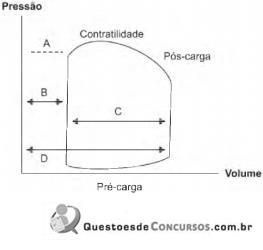 imagem-002.jpg