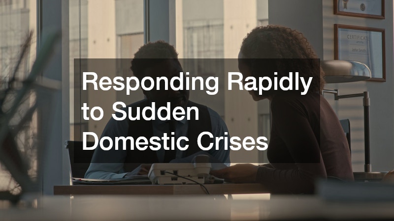 Responding Rapidly to Sudden Domestic Crises