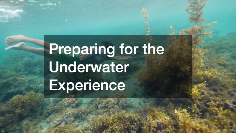 Preparing for the Underwater Experience