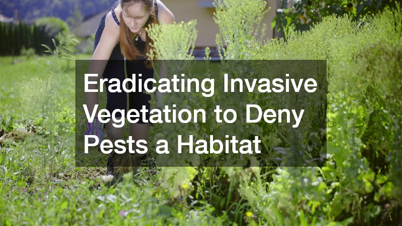 Eradicating Invasive Vegetation to Deny Pests a Habitat