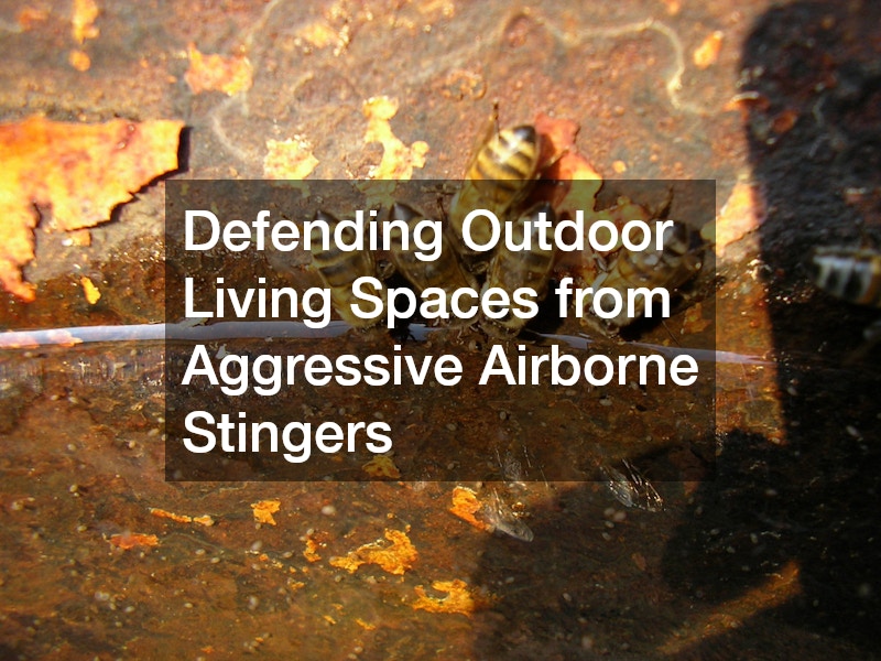 Defending Outdoor Living Spaces from Aggressive Airborne Stingers