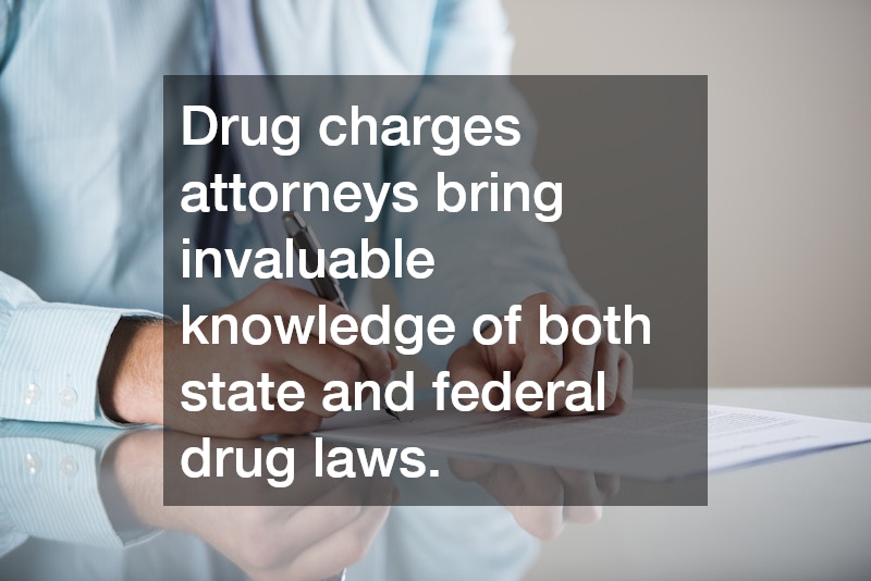 Drug charges attorneys bring invaluable knowledge of both state and federal drug laws.