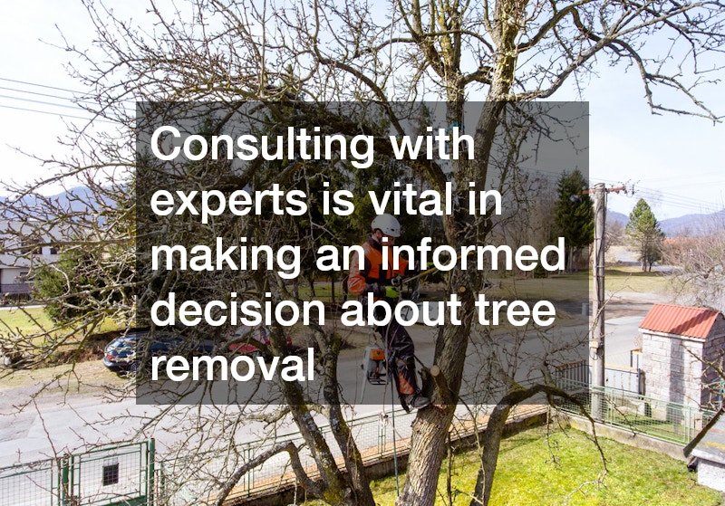 Consulting with experts is vital in making an informed decision about tree removal