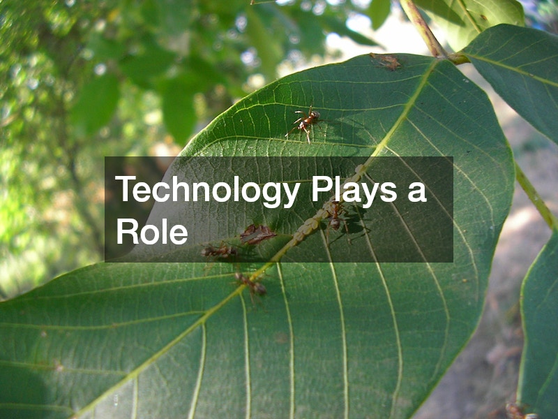 Technology Plays a Role 