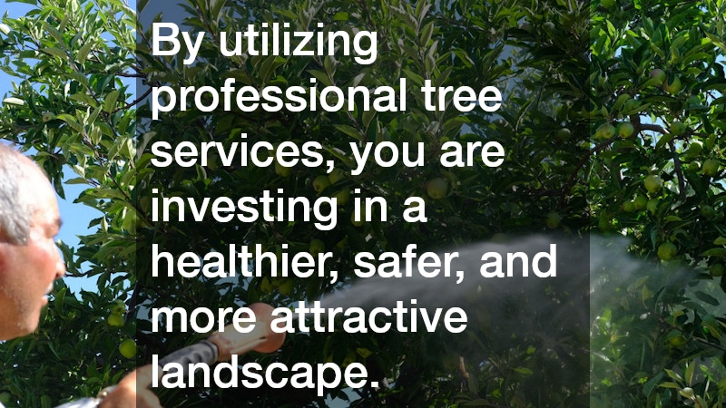 By utilizing professional tree services, you are investing in a healthier, safer, and more attractive landscape. 