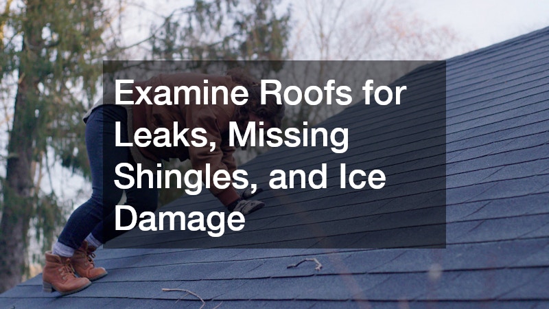 Examine Roofs for Leaks, Missing Shingles, and Ice Damage