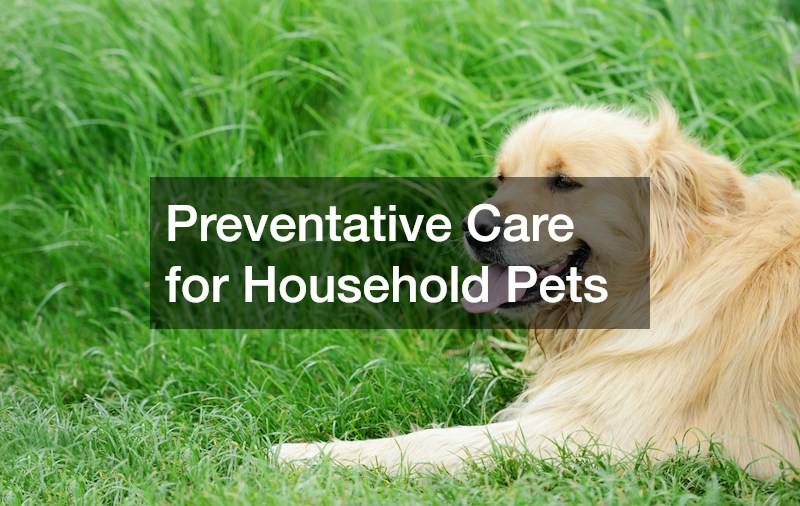 Preventative Care for Household Pets